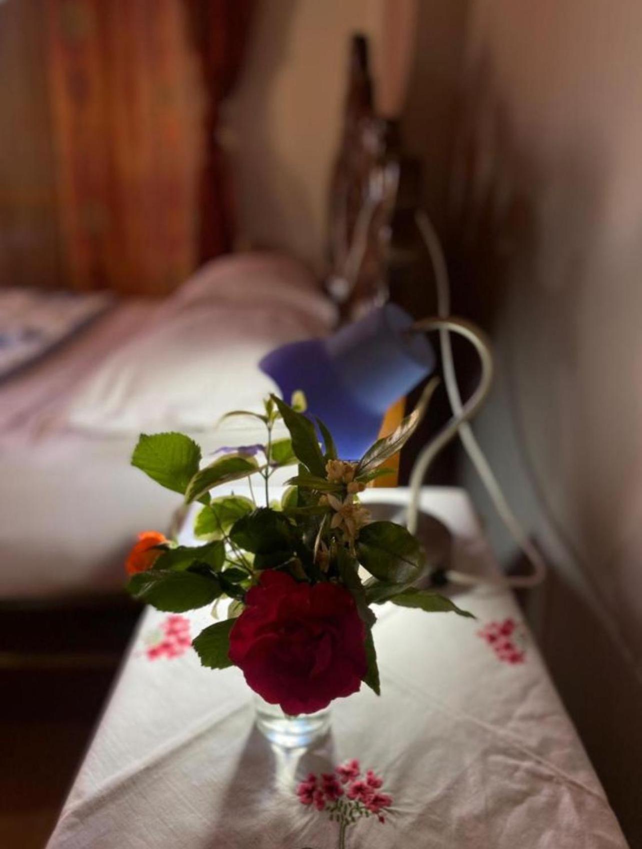 Gather Inn Guest House Shkodër Dış mekan fotoğraf